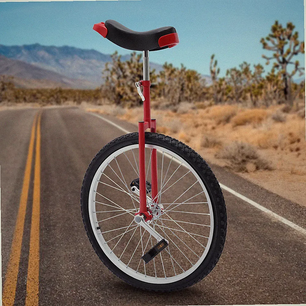 Stainless Steel Unicycle