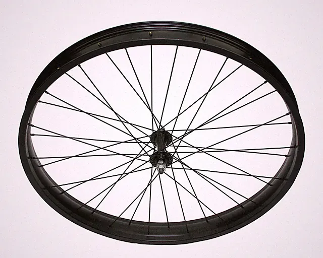 BLACK Bicycle Fat Wheel 26" x 60mm X 36H Front Rear Coaster Wheel Cruiser Bike