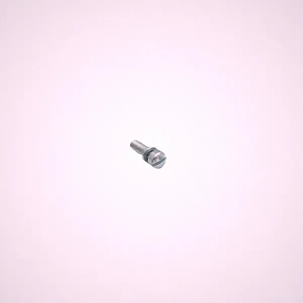 S&S Cycle® 50-0063 - 10-24 X 3/4" Float Bowl Mounting Bolt for Super E & G