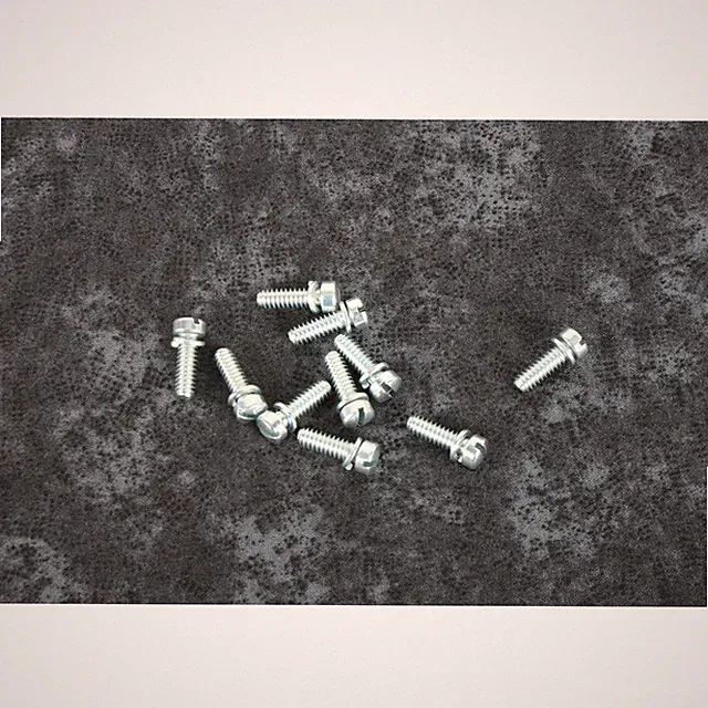 S&S Cycle Float Bowl Slotted Screws w/Lock Washer - 50-0063